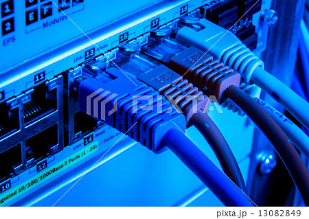 network cables 13082849