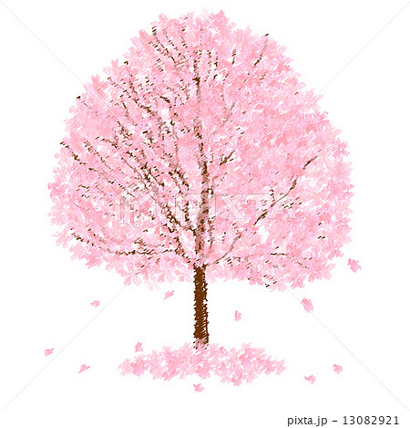 桜 木 花のイラスト素材