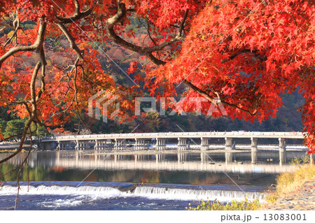 11月京都 嵐山渡月橋と紅葉 11月京都 嵐山渡月橋と紅葉 13083001