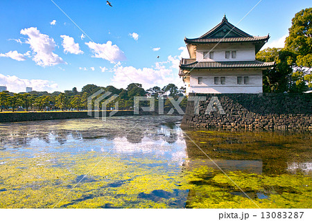 内堀通りから見た巽櫓と皇居外苑 13083287