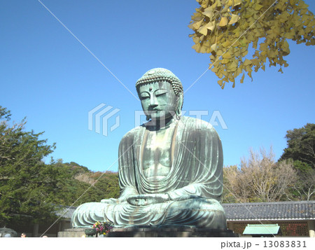 鎌倉 大仏 鎌倉 大仏 13083831