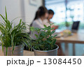 Working in the cafe 13084450