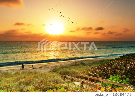 Boardwalk on the beach 13084479