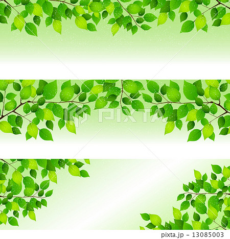 新緑 葉 背景のイラスト素材