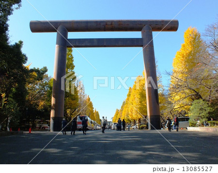 秋の靖国神社 13085527