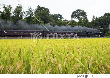 稲と汽車 稲と汽車 13085697