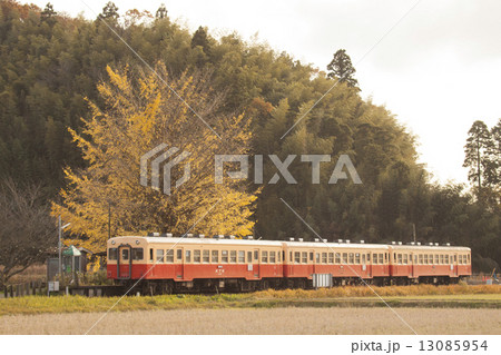 銀杏と列車 銀杏と列車 13085954