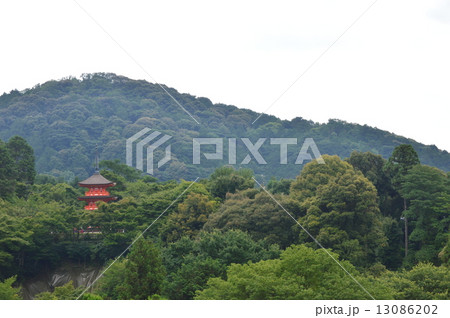 清水寺の「子安塔」（京都市東山区清水） 13086202