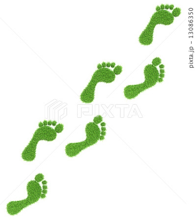 Grass footprints 13086350