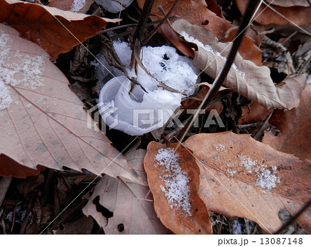 氷のシモバシラ 13087148