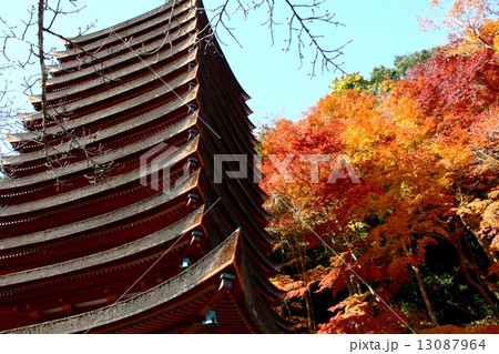 談山神社 13087964