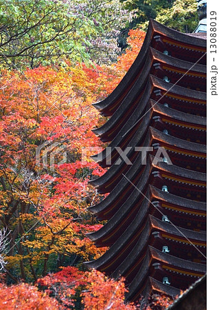 談山神社 13088019