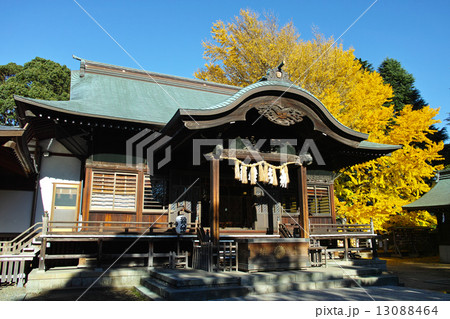 葛飾八幡宮 葛飾八幡宮 13088464