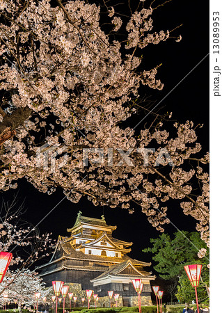 松江城の夜桜 松江城の夜桜 13089953