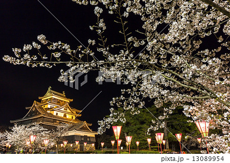 松江城の夜桜 13089954