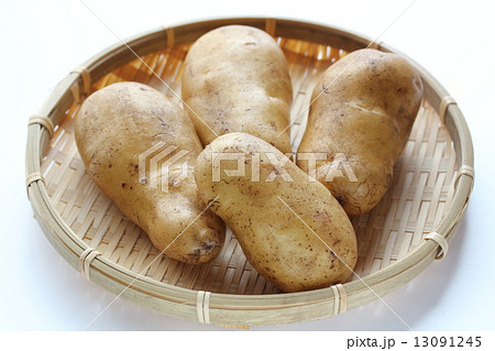 メークイン メークイン 13091245