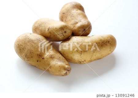 メークイン 13091246