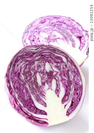 レッドキャベツ レッドキャベツ 13091254