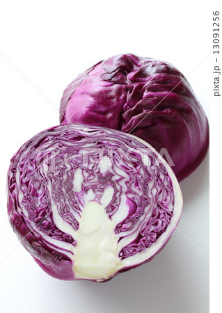 レッドキャベツ 13091256