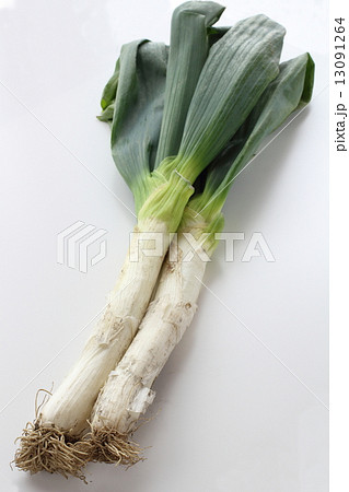 泥つきの下仁田ネギ 13091264