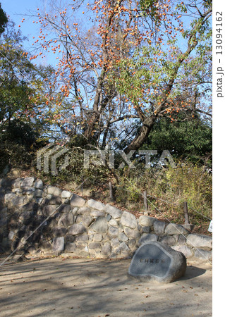 有岡城跡 13094162