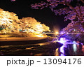 夜桜 13094176