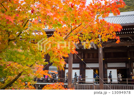 永観堂、阿弥陀堂と紅葉 永観堂、阿弥陀堂と紅葉 13094978