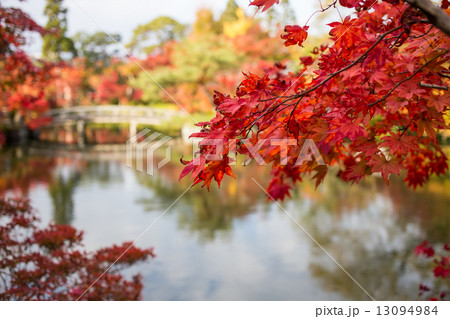 永観堂、放生池の紅葉と錦雲橋 13094984