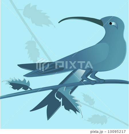 blue bird blue bird 13095217