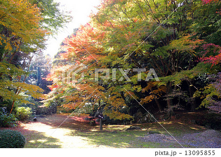 南原寺の紅葉 南原寺の紅葉 13095855