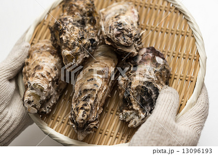 牡蠣 牡蠣 13096193