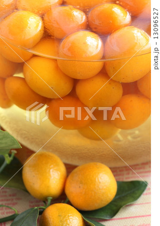 金柑の果実酒 13096527