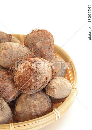 八幡イモ 13096544