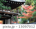 高桐院 13097012