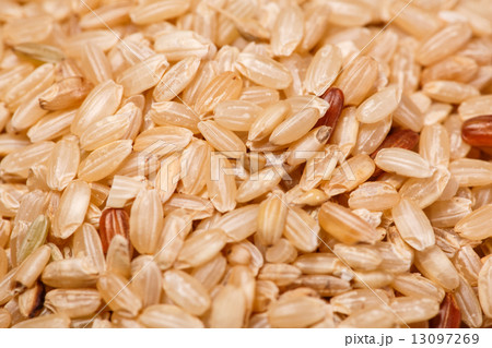 brown rice 13097269