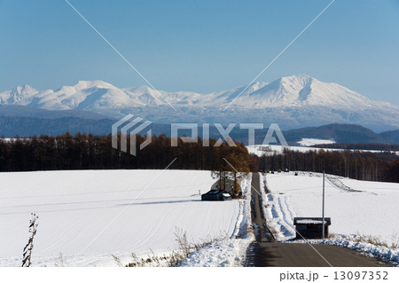 冠雪した大雪山 冠雪した大雪山 13097352