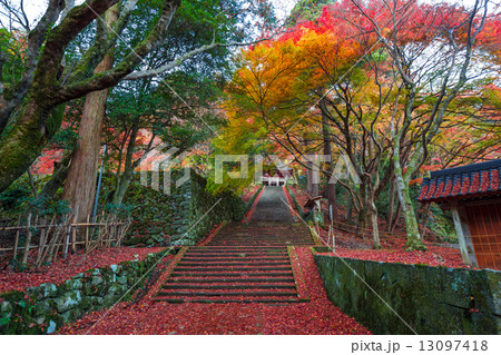 晩秋の鰐淵寺 晩秋の鰐淵寺 13097418