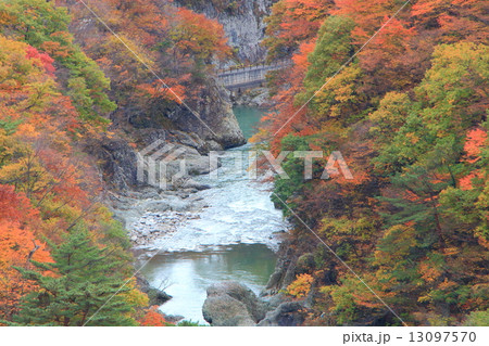 紅葉の諏訪峡・俯瞰 13097570