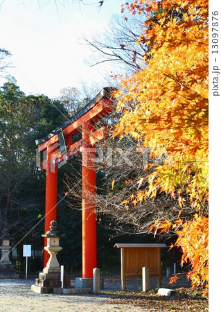 鏡作神社 鏡作神社 13097876
