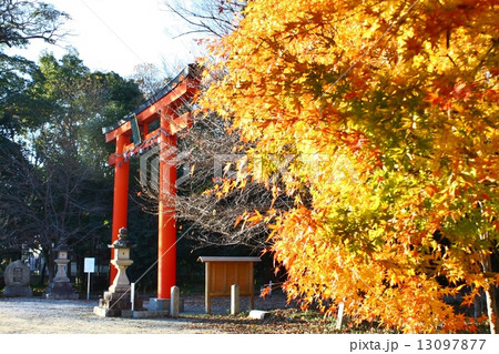 鏡作神社 13097877