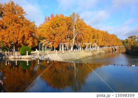 アランフェスを流れるタホ川 13098309