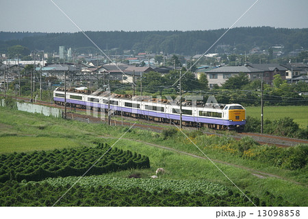 485系による特急白鳥号の写真素材