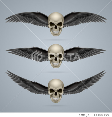 Three evil skulls with wings Three evil skulls with wings 13100159