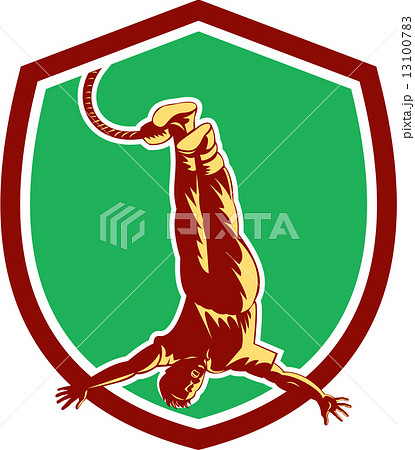 Bungy Jumping Retro Shield 13100783