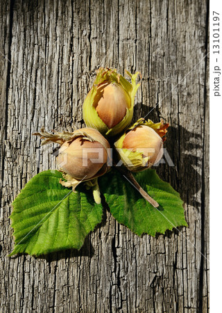 Three hazelnuts on wooden background 13101197