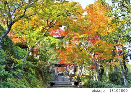 京都の秋 京都の秋 13102800