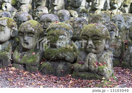 化野秋景　愛宕念仏寺 13103049