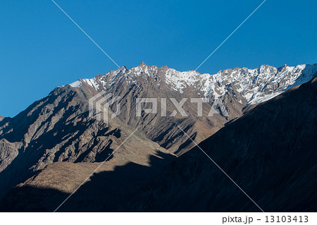 Nubra valley in Himalayas, Hunder, Ladakh, India 13103413