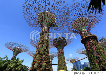 The Supertrees Grove at Gardens by the Bay 13103433