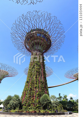 The Supertrees Grove at Gardens by the Bay 13103444